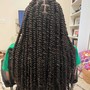 Passion Twists