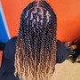 Small Passion Twists-Hair Included (Lower Back Length)