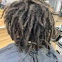 Root Touch Up