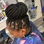 Poetic Justice Plaits