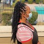 Butterfly  locs  Mid-back