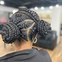 Feed-In Braids (2-3 braids)