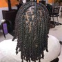 Starter Dreadlocks