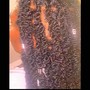 Natural Perm Rods