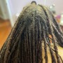 Starter Locs