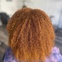 Root Touch Up