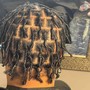 Starter Dreadlocks