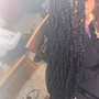 Passion Twist / Regular Twist