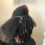 Basic Twist Out