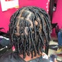 Starter Locs