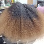 Root Touch Up