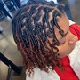 Starter Locs