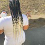 Bleach/Dye Hair (4 Bundles)