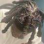 Loc Re-twist