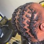 2 Strand Twist Loc Style