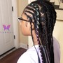 Feed In Braid Ponytail