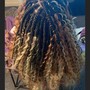 Knotless Braids below butt