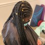 Tribal braids w/box braids