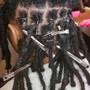 2 Strand Twist Starter Locz