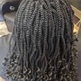 Crochet ponytail with braids