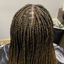 2 Feed Braids