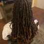 Loc  Shampoo and Deep Conditioning