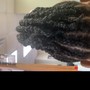 Natural Twists