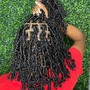 Short/Midback Butterfly Locs