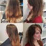 Partial Highlights/Lowlights