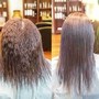 Relaxer/Texturizer Touch-up with Haircut and Style