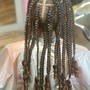 Starter Locs