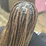 Crochet Braids or Twist