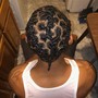 Starter locs ( Shaved Sides)