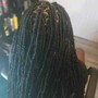 Micro Locs(Touch up)