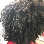 Natural Twists