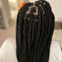 Medium Senegalese Twist new client discount