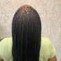 Box Braids