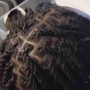 Starter Locs Comb Coils Medium