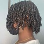 Natural Twists