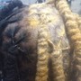 Starter Loc extensions ( Consultation required)