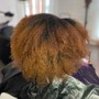 Root Touch Up