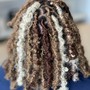 Distressed Texture locs