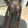 Two Strand Twists