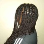 Waist length Box Braids knotless or regular