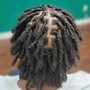 Loc Maintenance (retwist)