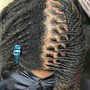 Consultation SISTERLOCS/MICROLOCS ONLY