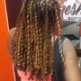 Retwist and Double Strand Twist