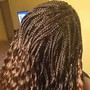 Loc Maintenance (Retwist)