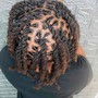 Starter Locs Full Head/Simple Style