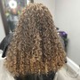 Root Touch Up